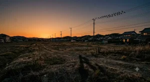夕暮れ時のノスタルジックな空き地と遠くの電線に集まるカラス群の遠景