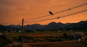 夕暮れの電線にとまり鳴くカラスのシルエット、童謡「カラスなぜ鳴くの」を連想させる情景