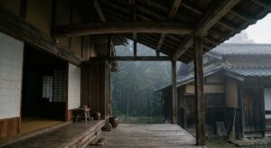 薄暗い日本家屋の軒下に張られた広大な蜘蛛の巣と静謐な情景
