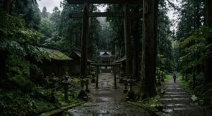 湿った神社の木立の隙間に張られたクモの網と静謐な情景