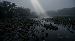 薄暗い日本庭園の蓮池を遠景から捉えた幻想的かつ静謐な引きの風景